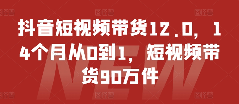 抖音短视频带货12.0，14个月从0到1，短视频带货90万件-沐风资源库