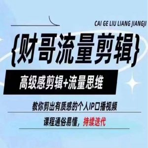 财哥流量剪辑，高级感剪辑+流量思维，教你剪出有质感的个人IP口播视频-沐风资源库