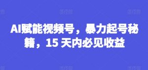 AI赋能视频号，暴力起号秘籍，15 天内必见收益【揭秘】-沐风资源库