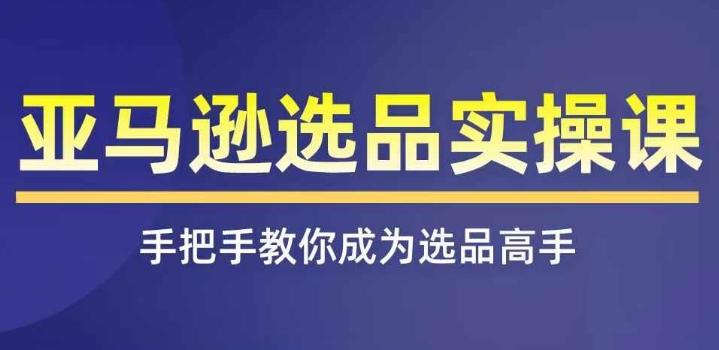 亚马逊选品实操课程，快速掌握亚马逊选品的技巧，覆盖亚马逊选品所有渠道-沐风资源库