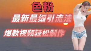 se粉最新最细引流法，七天螺旋起号法，爆款视频轻松制作【揭秘】-沐风资源库