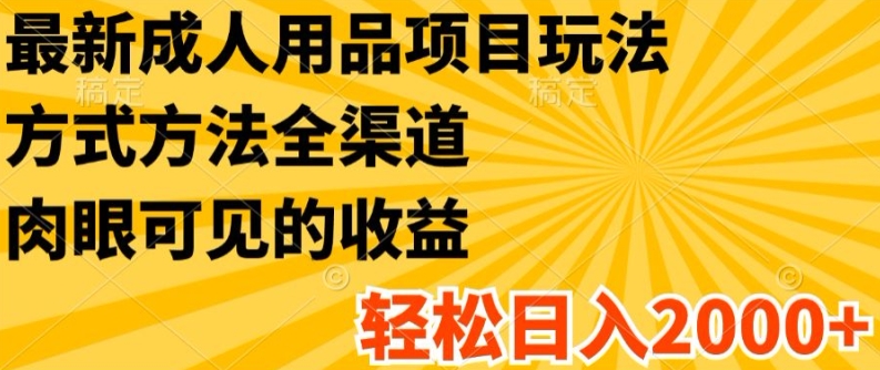 最新成人用品项目玩法,方式方法全渠道,轻松日入2K+【揭秘】-沐风资源库