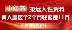 小红书搬运人性资料，有人靠这个2个月轻松赚11w，附教程【揭秘】-沐风资源库