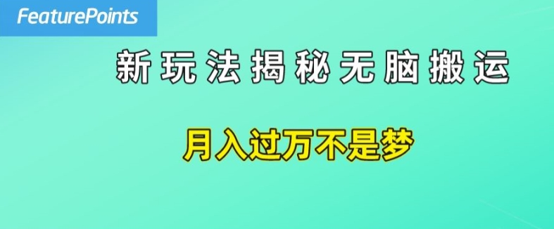 简单操作，每天50美元收入，搬运就是赚钱的秘诀【揭秘】-沐风资源库