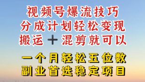 视频号爆流技巧，分成计划轻松变现，搬运 +混剪就可以，一个月轻松五位数稳定项目【揭秘】-沐风资源库
