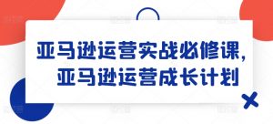 亚马逊运营实战必修课，亚马逊运营成长计划-沐风资源库