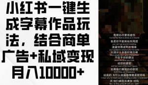 小红书一键生成字幕作品玩法，结合商单广告+私域变现月入1w+【揭秘】-沐风资源库