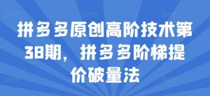 拼多多原创高阶技术第38期，拼多多阶梯提价破量法-沐风资源库