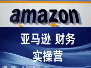 亚马逊财务核算实操营-亚马逊跨境电商教程-沐风资源库
