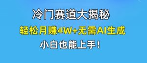 冷门赛道大揭秘，轻松月赚1W+无需AI生成，小白也能上手【揭秘】-沐风资源库