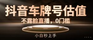 抖音车牌号估值，不露脸直播，0门槛，小白秒上手【揭秘】-沐风资源库