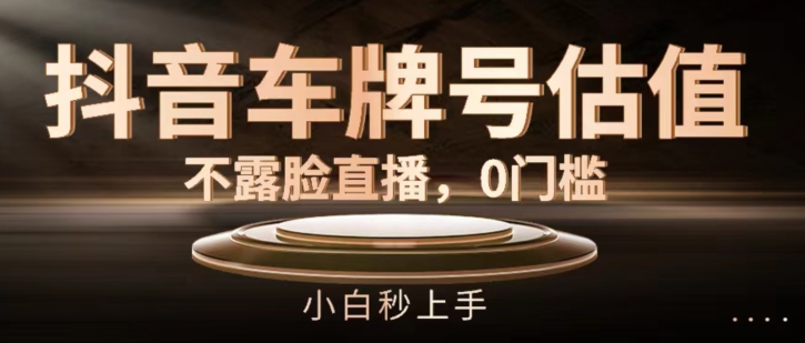 抖音车牌号估值，不露脸直播，0门槛，小白秒上手【揭秘】-沐风资源库