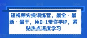 短视频实操训练营，最全·最新·最干，从0-1带你学IP，紧贴热点深度学习-沐风资源库
