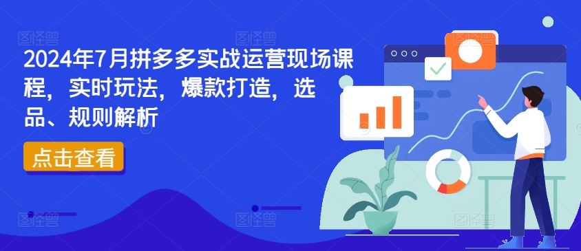 2024年7月拼多多实战运营现场课程，实时玩法，爆款打造，选品、规则解析-沐风资源库