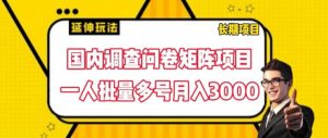 国内调查问卷矩阵项目，一人批量多号月入3000【揭秘】-沐风资源库