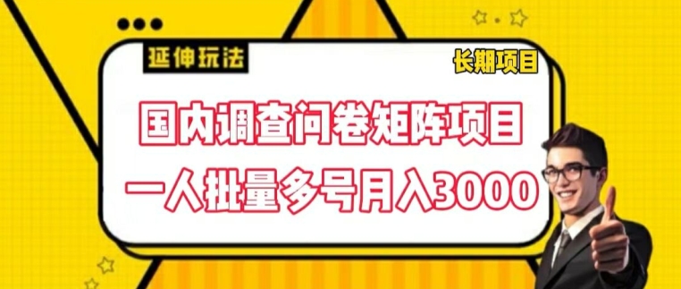 国内调查问卷矩阵项目，一人批量多号月入3000【揭秘】-沐风资源库