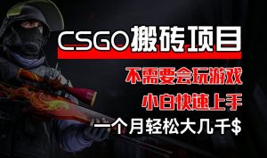 CSGO 装备搬砖项目，操作简单，不需要会玩游戏，小白也能快速上手，一个月轻松大几千【揭秘】-沐风资源库