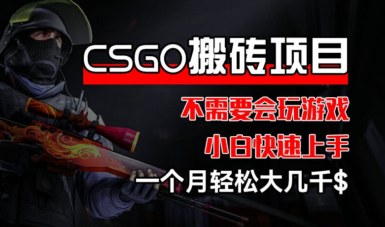 CSGO 装备搬砖项目，操作简单，不需要会玩游戏，小白也能快速上手，一个月轻松大几千【揭秘】-沐风资源库