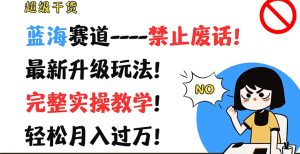 超级干货，蓝海赛道-禁止废话，最新升级玩法，完整实操教学，轻松月入过万【揭秘】-沐风资源库