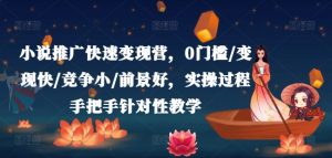 小说推广快速变现营，0门槛/变现快/竞争小/前景好，实操过程手把手针对性教学-沐风资源库