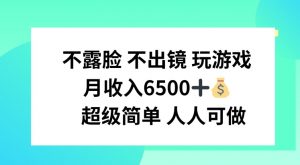 不露脸 不出境 玩游戏，月入6500 超级简单 人人可做【揭秘】-沐风资源库