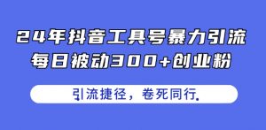 24年抖音工具号暴力引流，每日被动300+创业粉，创业粉捷径，卷死同行【揭秘】-沐风资源库