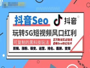抖音SEO引流培训课程-抓住抖音风口，实现搜索排名，获取精准流量，快速成交变现-沐风资源库