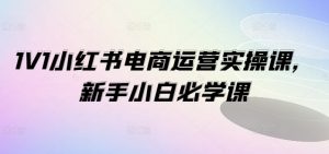 1V1小红书电商运营实操课，新手小白必学课-沐风资源库