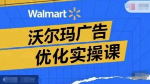沃尔玛广告优化实操课，广告报告实操讲解，广告如何提高转化和ROAS等-沐风资源库