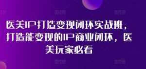 医美IP打造变现闭环实战班，打造能变现的IP商业闭环，医美玩家必看!-沐风资源库