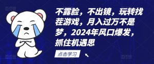 不露脸，不出镜，玩转找茬游戏，月入过万不是梦，2024年风口爆发，抓住机遇【揭秘】-沐风资源库