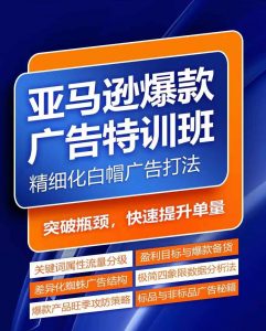 亚马逊爆款广告特训班，快速掌握亚马逊关键词库搭建方法，有效优化广告数据并提升旺季销量-沐风资源库