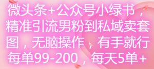 微头条+公众号小绿书，精准引流男粉到私域卖套图，无脑操作，有手就行，每单99-200，每天5单-沐风资源库