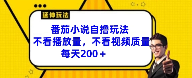 番茄小说自撸玩法，不看播放量，不看视频质量，每天200+【揭秘】-沐风资源库