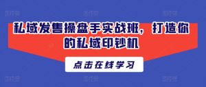 私域发售操盘手实战班，打造你的私域印钞机-沐风资源库