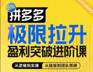 拼多多极限拉升盈利突破进阶课，​从算法到玩法，从玩法到团队搭建，体系化系统性帮助商家实现利润提升-沐风资源库