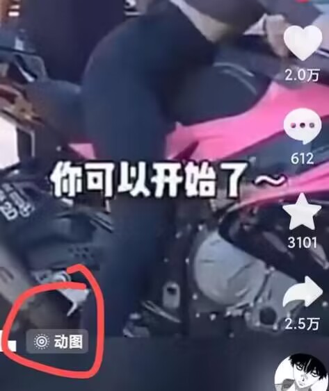 2024年7月苹果手机动图搬运技术-沐风资源库