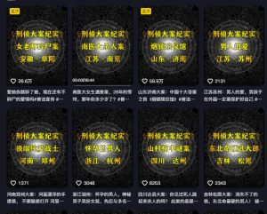 大案纪实解说课，2024年最新抖音大案教学教程-沐风资源库