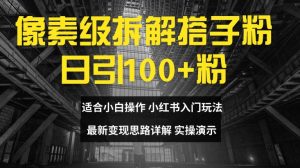 像素级拆解搭子粉，日引100+，小白看完可上手，最新变现思路详解【揭秘】-沐风资源库