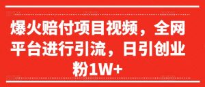 爆火赔付项目视频，全网平台进行引流，日引创业粉1W+【揭秘】-沐风资源库