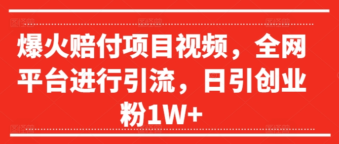爆火赔付项目视频，全网平台进行引流，日引创业粉1W+【揭秘】-沐风资源库