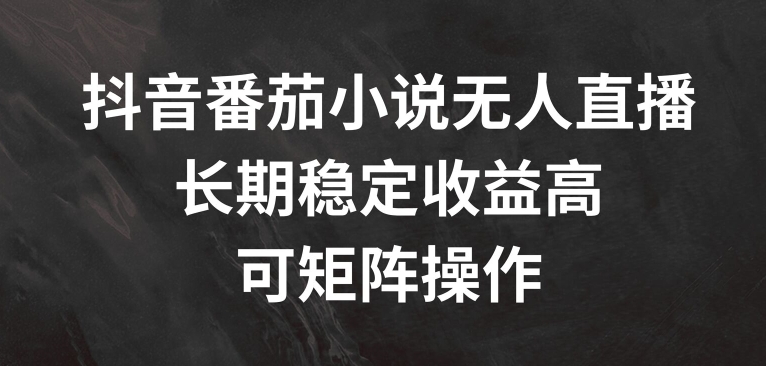 抖音番茄小说无人直播，长期稳定收益高，可矩阵操作【揭秘】-沐风资源库