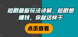 短剧最新玩法讲解，短剧想赚钱，你就这样干-沐风资源库