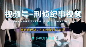 利用刑侦纪实视频，赚视频号分成计划收益，操作简单，新手小白轻松月入过万【揭秘】-沐风资源库