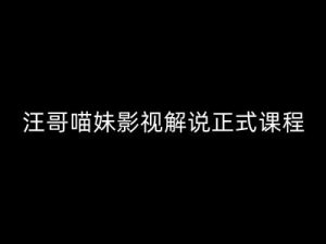 汪哥影视解说正式课程：剪映/PR教学/视解说剪辑5大黄金法则/全流程剪辑7把利器等等-沐风资源库