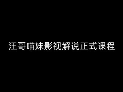 汪哥影视解说正式课程：剪映/PR教学/视解说剪辑5大黄金法则/全流程剪辑7把利器等等-沐风资源库