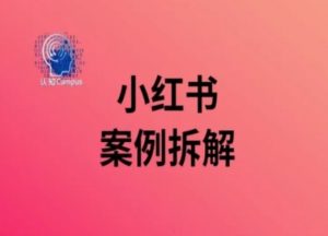 小红书案例拆解，深度解读小红书40万粉-沐风资源库