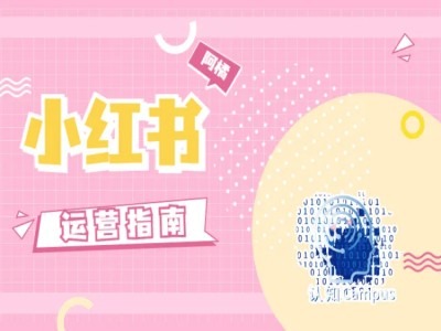 小红书运营指南，没有套路，全是经验-沐风资源库