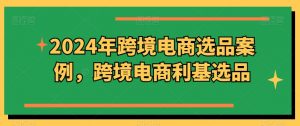 2024年跨境电商选品案例，跨境电商利基选品（更新）-沐风资源库