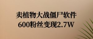 卖植物大战僵尸软件，600粉丝变现2.7W【揭秘】-沐风资源库